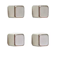 FRANKEN Magnet 10 x 10 x 10 mm (B x H x T)