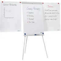 Franken Flipchart X-tra!Line Standard Plus, EL-FC22, 68x105cm (BxH), lichtgrau, mit Beinen, mit 2 Seitenarmen 4016946199445 Franken
