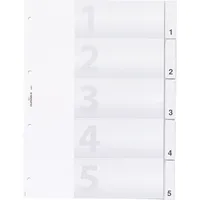 Durable Kunststoffregister 6820 19, 5-teilig blanko, A4, 120µm, transparente Fenstertaben, 5-teilig 4005546630083 Durable