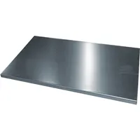 CP-Möbel Einlegeboden 890180 500x500mm verzinkt 4025314854060 CP-Möbel