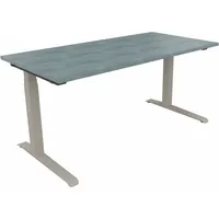 Soennecken Sitz-Steh-Schreibtisch All in One, elektrisch höhenverstellbar, 64,5-127,5cm (H), 160x80cm (BxT), rechteckig, beton hell / silbe