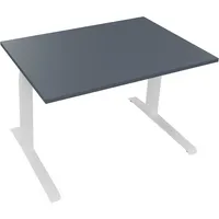 Soennecken Sitz-Steh-Schreibtisch All in One, elektrisch höhenverstellbar, 64,5-127,5cm (H), 120x80cm (BxT), rechteckig, lavagrau / weiß 40