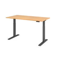 Hammerbacher Sitz-Steh-Schreibtisch XMKA, elektrisch höhenverstellbar, 70-120cm (H), 160x80cm (BxT), rechteckig, buche / graphit 403206218560 2 Stück