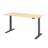 Hammerbacher Sitz-Steh-Schreibtisch XMKA, elektrisch höhenverstellbar, 70-120cm (H), 180x80cm (BxT), rechteckig, ahorn / graphit 403206218565 2 Stück
