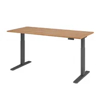 Hammerbacher Sitz-Steh-Schreibtisch XMKA, elektrisch höhenverstellbar, 70-120cm (H), 180x80cm (BxT), rechteckig, nussbaum / graphit 403206218 2 Stück