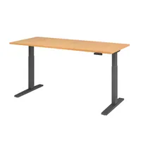 Hammerbacher Sitz-Steh-Schreibtisch XMKA, elektrisch höhenverstellbar, 70-120cm (H), 180x80cm (BxT), rechteckig, buche / graphit 403206218567 2 Stück