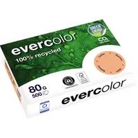 Clairefontaine Recyclingpapier evercolor 40015C lachs A4 80g 3288580400152 Clairefontaine 500 Stück