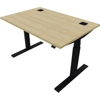 Schreibtisch eModel 20 810075279 elektrisch höhenverstellbar 65-130cm (H) 120x80cm (BxT) rechteckig buche   jet schwarz 59