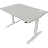 Schreibtisch eModel 20 810075194 elektrisch höhenverstellbar 65-130cm (H) 120x80cm (BxT) rechteckig platinum   weiß 590174