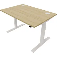 Schreibtisch eModel 20 810075179 elektrisch höhenverstellbar 65-130cm (H) 120x80cm (BxT) rechteckig buche   weiß 590174715