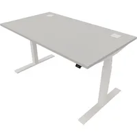 Schreibtisch eModel 20 810075394 elektrisch höhenverstellbar 65-130cm (H) 140x80cm (BxT) rechteckig platinum   weiß 590174