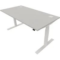 Schreibtisch eModel 20 810075594 elektrisch höhenverstellbar 65-130cm (H) 160x80cm (BxT) rechteckig platinum   weiß 590174