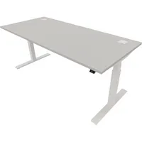 Schreibtisch eModel 20 810075794 elektrisch höhenverstellbar 65-130cm (H) 180x80cm (BxT) rechteckig platinum   weiß 590174