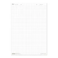 Staufen Flipchartblock Green 608580020, 68x99cm, kariert, 80 g/m² 9002244852477 Staufen 20 Blatt