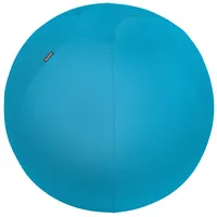 AKTION: LEITZ Ergo Cosy Sitzball blau 65,0 cm mit Prämie nach Registrierung