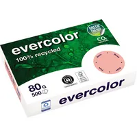 Clairefontaine Kopierpapier evercolor