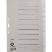 Leitz Kartonregister 1220-00-85, 20-teilig blanko, A4+, 100 g/m², graue Taben, 20-teilig 4002432319169 Leitz