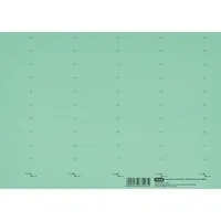 Elba Beschriftungsschilder 83582 4-zeilig  grün 58mm breit 4002030052628 Elba 50 Stück