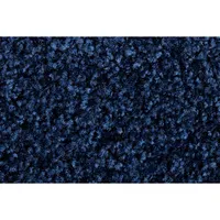 Miltex Fußmatte 22022 Eazycare Color, 60x90cm, rechteckig, für Innenbereich 4260061895205 Miltex