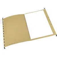 ELBA Hängemappe vertic® ULTIMATE® 31,8 x 24 cm (B x H)