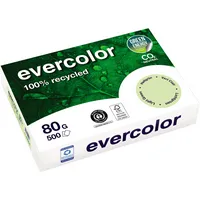 Clairefontaine Kopierpapier evercolor