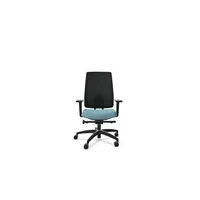 Dauphin Bürodrehstuhl Indeed mesh, schwarz/wasserblau / graphitschwarz, mit Armlehnen, bis 150kg, ohne Kopfstütze 4260749142171 Dauphin