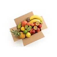 Soennecken Fitness Box XL 4003969126633 Soennecken