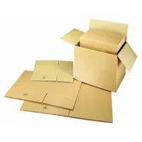 Versandkarton 12 kg