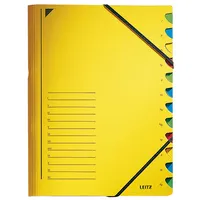 Leitz Ordnungsmappe 12 Fächer