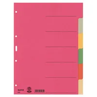 Leitz Kartonregister 4358-00-00, 6-teilig blanko, A4, 230 g/m², farbige Taben, 6-teilig 4002432309399 Leitz