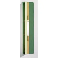 Leitz Heftstreifen 3726-00-55, 6x30,5cm (BxL), Karton mit Kunststoffdeckleiste, grün 4002432306749 Leitz