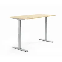 Soennecken Sitz-Steh-Schreibtisch FLEX MODUL, elektrisch höhenverstellbar, 60,5-125,5cm (H), 160x80cm (BxT), rechteckig, ahorn / alusilber