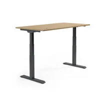 Schreibtisch FLEX MODUL 2.000 x 605-1.255 x 800 mm (B x H x T) schwarz