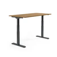 Schreibtisch FLEX MODUL 2.000 x 605-1.255 x 800 mm (B x H x T) schwarz