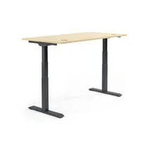 Schreibtisch FLEX MODUL 2.000 x 605-1.255 x 800 mm (B x H x T) schwarz