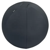 LEITZ 65430089 - Leitz Ergo Cosy Active Sitzball, Anti-Wegroll, 75 cm, dunkelgrau