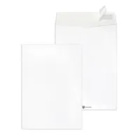 MailMedia Versandtaschen Securitex 30001239, B4, ohne Fenster, haftklebend, reißfest, wasserfest, 130g, weiß 4003928395551 MailMedia 100 Stück