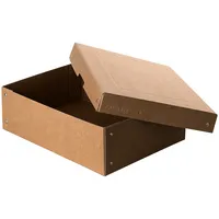 Falken Aufbewahrungsbox PURE Box 22001800, mit Deckel, außen 240x100x320mm, Pappe braun 4014481245580 Falken
