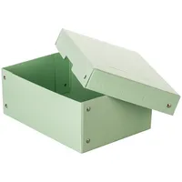 Falken Aufbewahrungsbox PureBox Pastell 22001920, Pappe pastellgrün 4014481245467 Falken