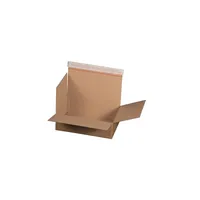 Smartbox Pro smartboxpro Automatikbodenkarton 211101210 300x210x85mm br  4026283614594 Smartbox Pro GmbH