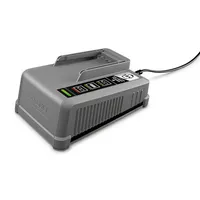 KÄRCHER Ladegerät 2.445-044.0 für Akku Battery Power+ 4054278558165 KÄRCHER
