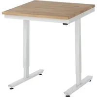RAU GmbH RAU Arbeitstisch 750x800x720-1120 elektrisch B-Platte 25mm l.gr 4040376063410 RAU GmbH