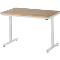 RAU GmbH RAU Arbeitstisch 1250x800x720-1120 elektrisch B-Platte 25mm l.gr 4040376454607 RAU GmbH