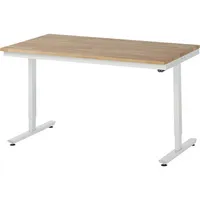 RAU GmbH RAU Arbeitstisch 1500x800x720-1120 elektrisch B-Platte 25mm l.gr 4040376970329 RAU GmbH