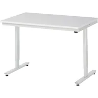 RAU GmbH RAU Arbeitstisch 1250x800x720-1120 elektrisch M-Platte 22mm l.gr 4040376455512 RAU GmbH