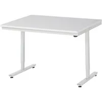 RAU GmbH RAU Arbeitstisch 1250x1000x720-1120 elektrisch M-Platte 22mm l.gr 4040376012739 RAU GmbH