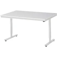 RAU GmbH RAU Arbeitstisch 1500x1000x720-1120 elektrisch M-Platte 22mm l.gr 4040376454959 RAU GmbH
