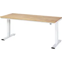 RAU GmbH RAU Werktisch 2000x800x720-1120mm elektrisch B-Platte 25mm l.gr 4040376455031 RAU GmbH