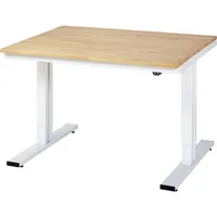 RAU GmbH RAU Werktisch 1250x1000x720-1120mm elektrisch B-Platte 25mm l.gr 4040376213174 RAU GmbH