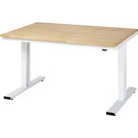 RAU GmbH RAU Werktisch 1500x1000x720-1120mm elektrisch B-Platte 25mm l.gr 4040376069832 RAU GmbH